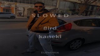8ird - kaneki (slowed + reverb)
