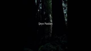 28 Fevral 2023 Oda Si̇tayi̇ş Edənləri̇n Novruz Bayrami Haqqinda