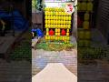 Breaking Glass Bottles AMSR #asmr #satisfy #asmrtiktok #asmrsounds #oddlysatisfying #asmrfood #asm