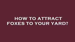 How to attract foxes to your yard?