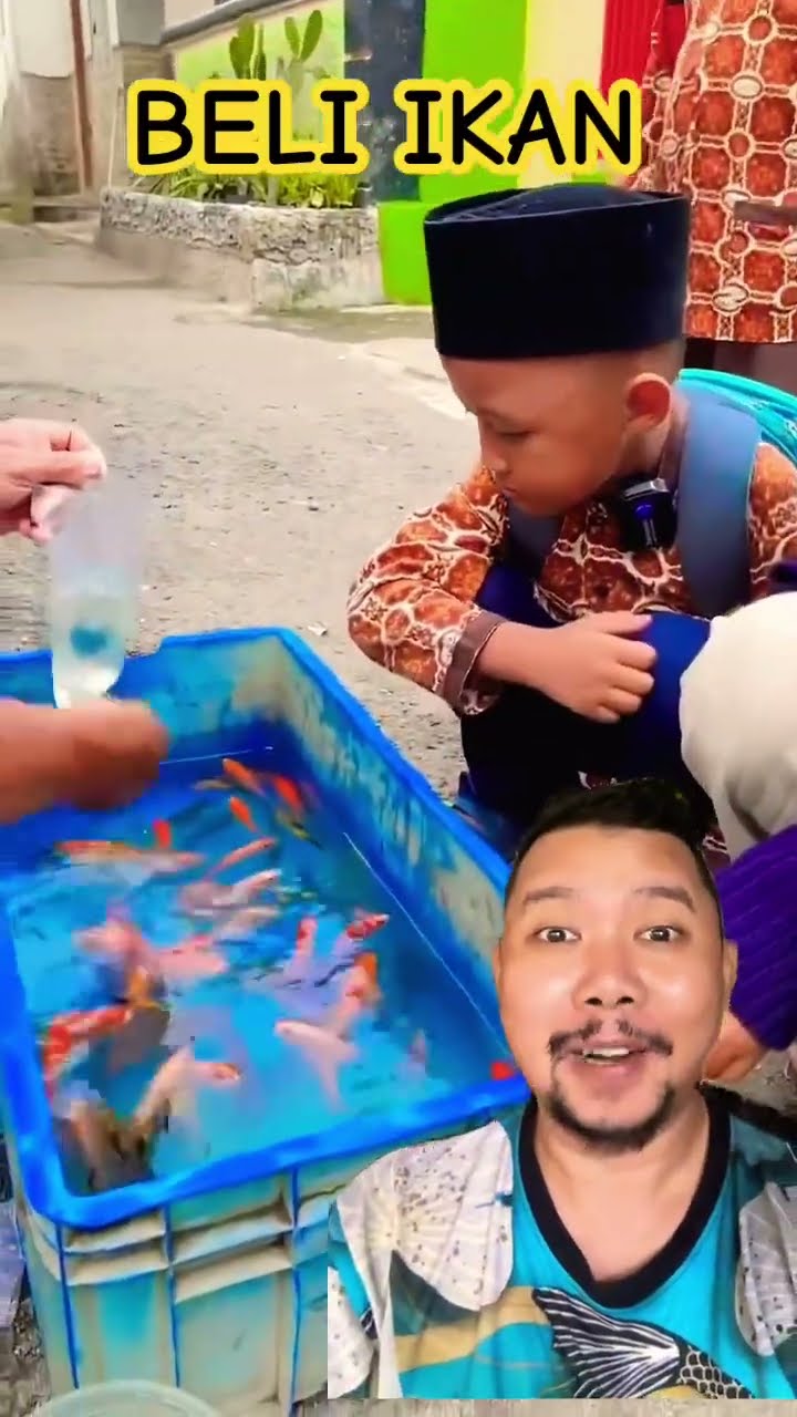 ADIK SUKA MEMELIHARA IKAN!!!?? #ikan #ikanhias #shortsfeed #shorts
