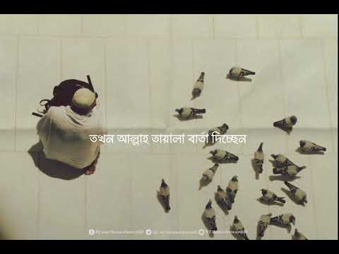 আল্লাহকে পাওয়ার পথ কী?