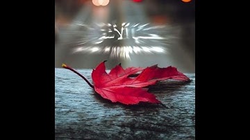 فذكر ان نفعت الذكرى /سورة الأعلى ايه ٩ الى ايه ١٣