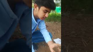 Experiment of test soil texture by feeling method.
