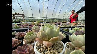 養父市での一日