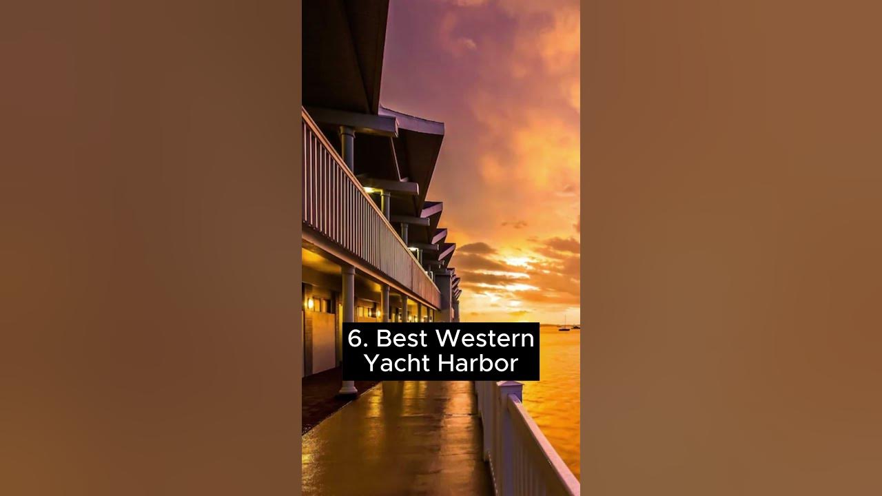 Best Places to Stay in Dunedin, FL Part 2! dunedinfl floridavacation YouTube
