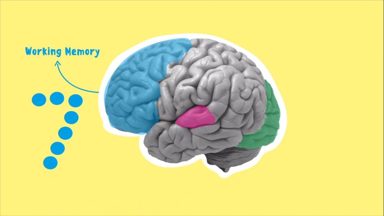 Richard Mayer' Cognitive Theory of Multimedia Learning