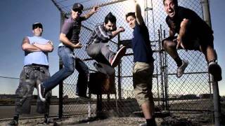 zebrahead  - heres to you