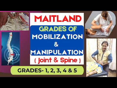 Maitland Mobilsation Grades-Maitland grade of joint Mobilisation |Manipulation|Chiro|healtheducatum