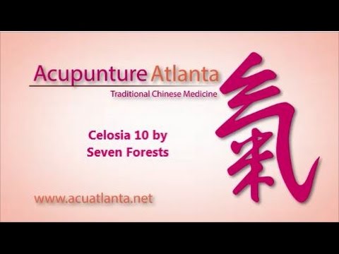 Tcm Spotlight Seven Forests Celosia 10 Youtube