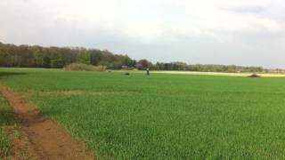 Fie sporsøg 2 - 20130509