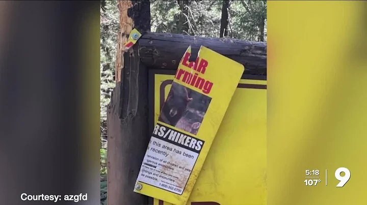 Bear destroys 'bear warning' sign
