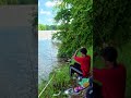 kawan sebelah strike ikan duri