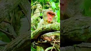 dscn 2405