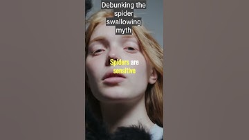 You Swallow Spiders in Your Sleep 😶😨 #shorts #commonmisconceptions