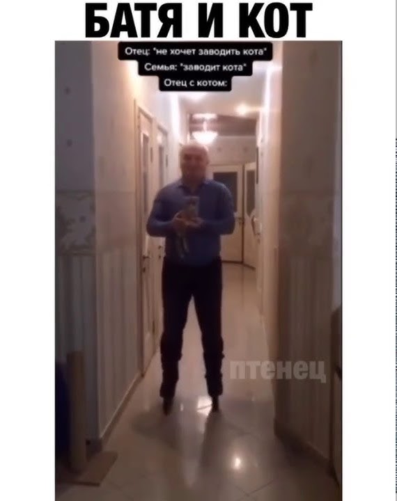 Что стало с киселечком котом из мема 膏 血 Геннадий Максюта ㋛