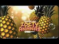 TARZAN BOY - Żółty ananas (DJ SKIBA REMIX)