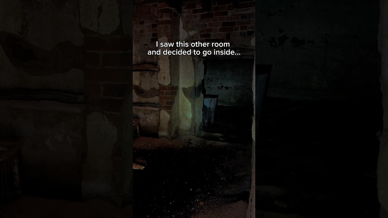 Something in the basement of an abandoned house 