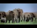 Tanzania Tour, Tourism, Planner and Packages