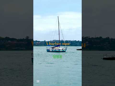 #풍경 #뉴질랜드 #임영웅 #항구의 남자