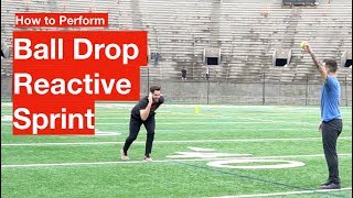 Ball Drop Reactive Drill