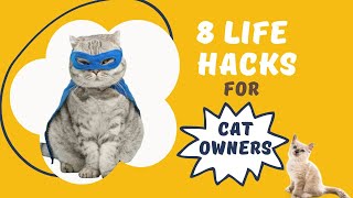 8 Life Hacks For Cat Owners