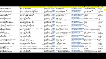 Data Entry And Lead Generation Demo