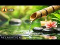 🔴 Zen Calming Music for Stress Relief, Relaxing Spa Music Therapy, Healing Meditation, Nature Sounds