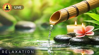 Zen Calming Music for Stress Relief, Relaxing Spa Music Therapy, Healing Meditation, Nature Sounds