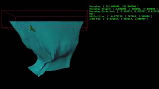 Cloth Simulation