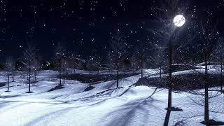 Celebrity Snowfall in Winter Animation Video | TalHam Net Worth
