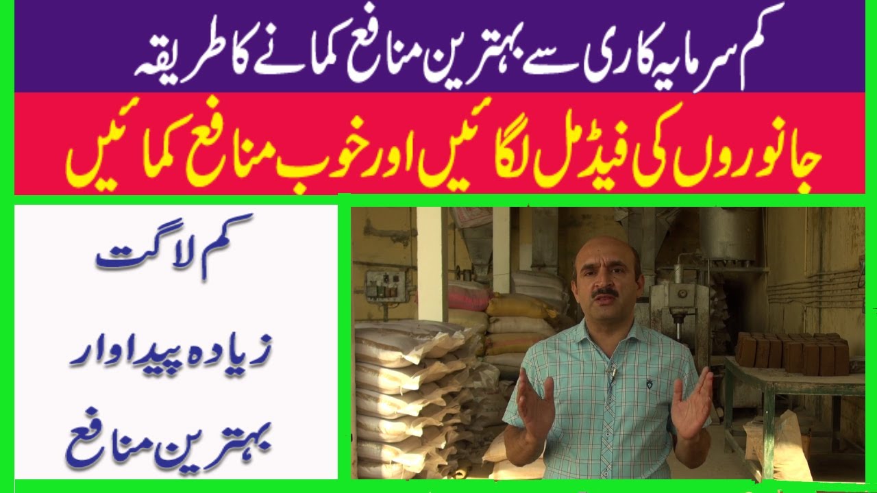 Animal Feed Making Business |  Animal Feed Production | Feed Mil Plant | How to Make Feed Mill Plant