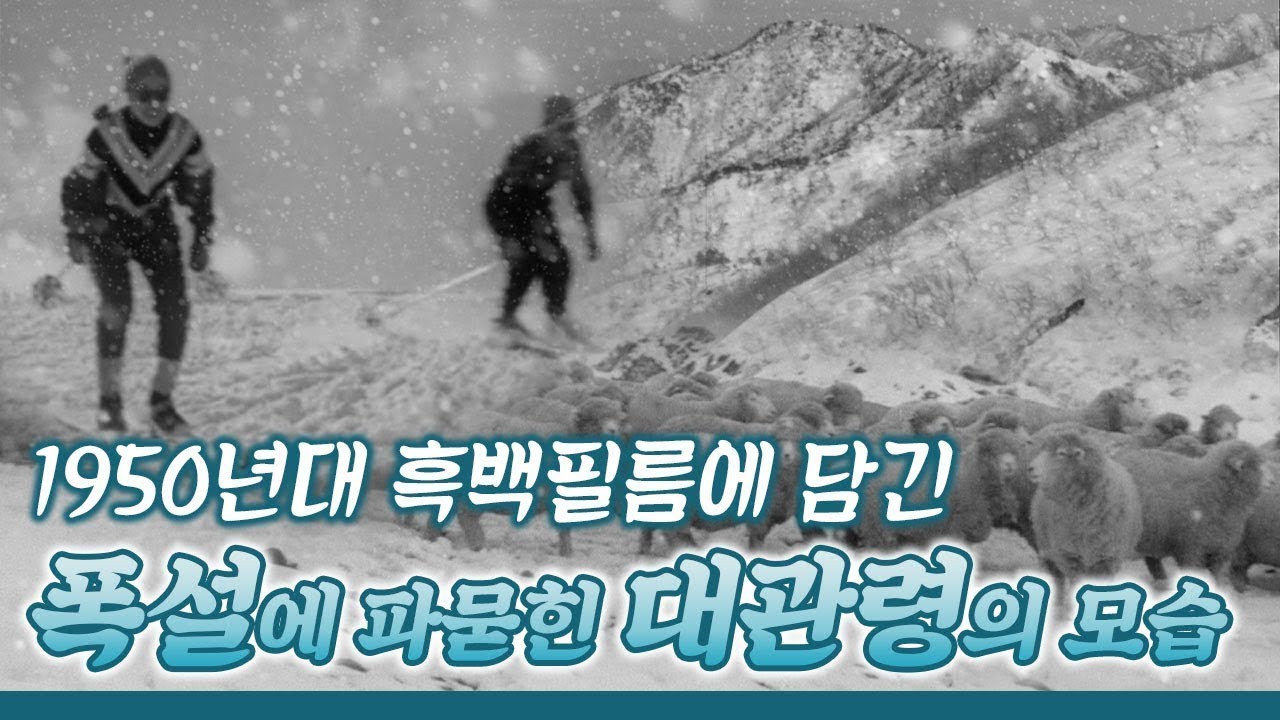 1950년대 흑백필름에 담긴, 한겨울 '대관령'의 모습