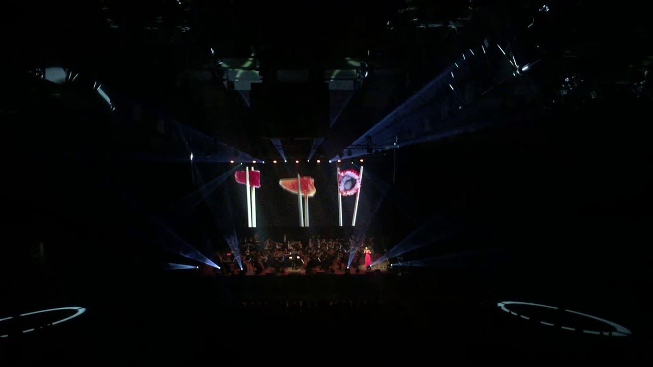 Visual Concert 2019 Lana Del Rey cover Szczecin Netto Arena