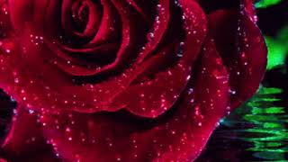 Album  Romantic Piano Collection Vol 1  Sealed With A Kiss