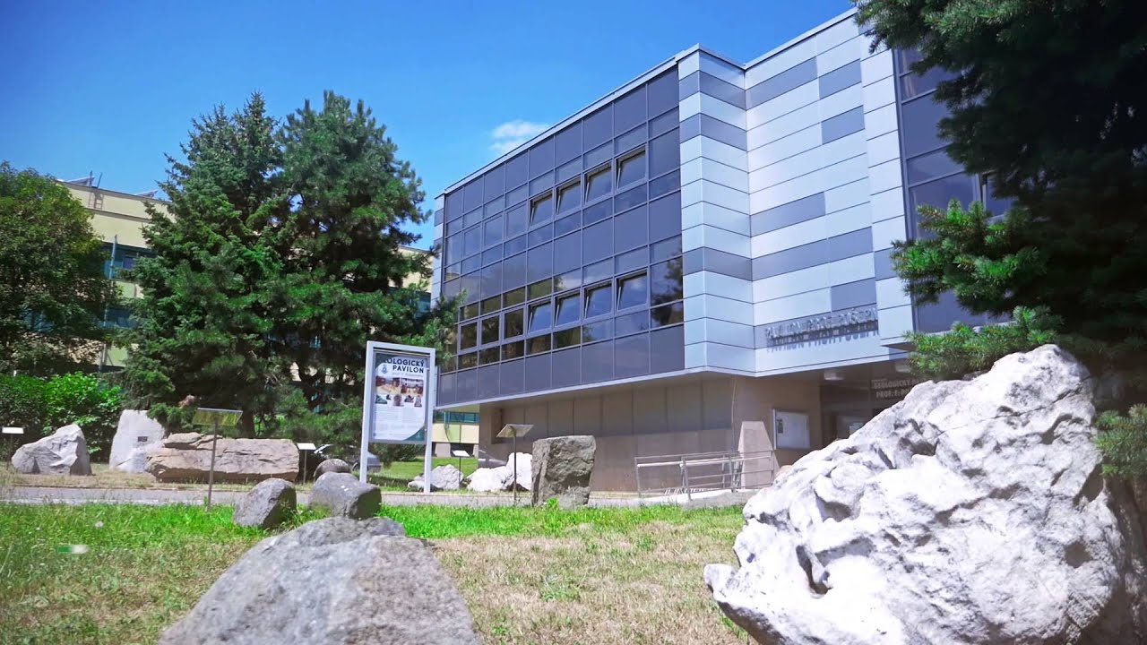 Kampus VŠB-TU Ostrava a estetika jeho staveb