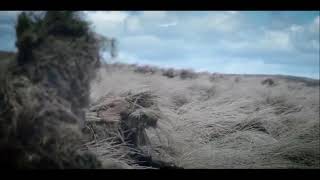 British army values and standards (training aid not official)