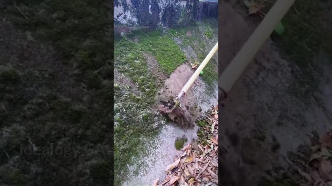 Garden Cleaning Shovel