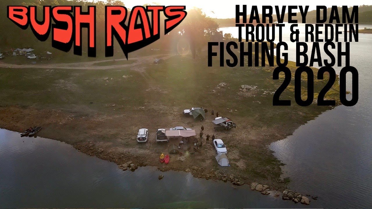 Harvey Dam Trout and Redfin Bash Fishing Competition 2020