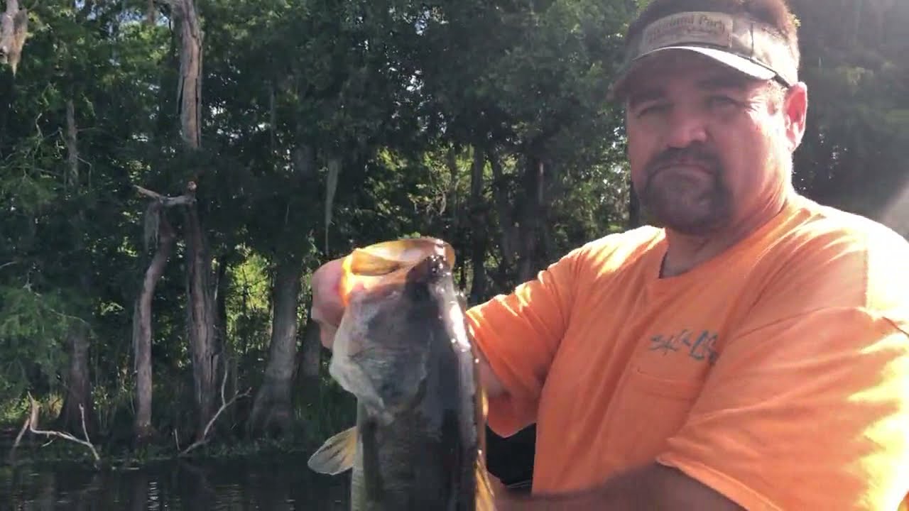 Highland Park Fish Camp