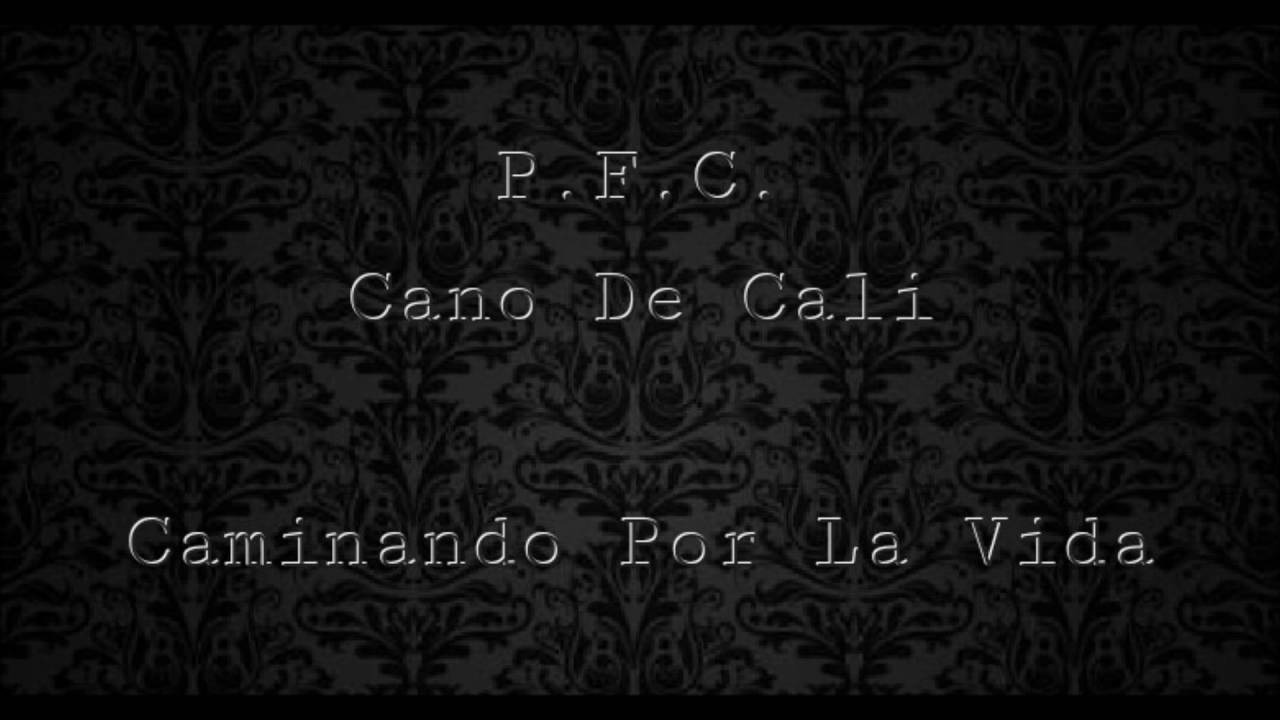 Cano De Cali Caminando Por La Vida (600)
