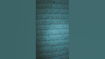 سوره الرعد الآيه (16)القارئ الشيخ صالح الحسن