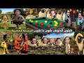 كرتون الخروف شون ذا شيب النسخة المصرية Cartoon Comics كرتون الخروف شون ذا شيب النسخة المصرية Cartoon Comics