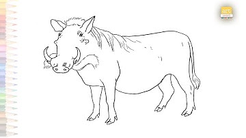 Common warthog drawings | Wild pigs drawing | How to draw A Warthog step by step | Wild life art