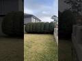 #JasonDeruloTV // Lawn Cleanup 🙌💯 #GotPermissionToPost From @nathanslawnsandgardens #GladUCame