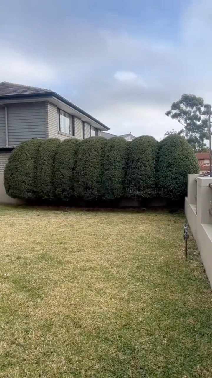 #JasonDeruloTV // Lawn Cleanup ?? #GotPermissionToPost From @nathanslawnsandgardens #GladUCame