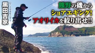 熊野の磯からショアエギング！アオリイカを絞り出せ！！