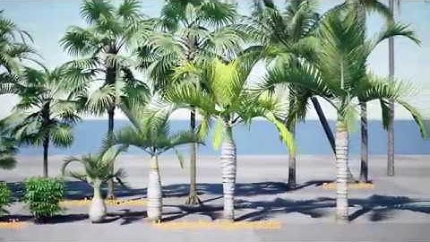 HQ Plants V2 Palms for Unreal Engine 4