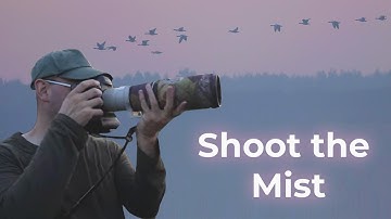 Bird Photography in the Mist - How to Choose Camera Settings (Canon 1DX & EF 400mm F/5.6 Lens)