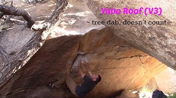 Joshua Tree - Yabo Roof (V3)